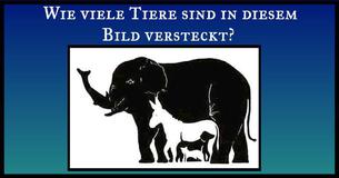 Niemand ist sich einig, wie viele Tiere in diesem Bild zu finden sind. Wie viele kannst Du entdecken? 