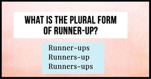 No One Can Score 30/30 In This Tricky Plural Forms Test