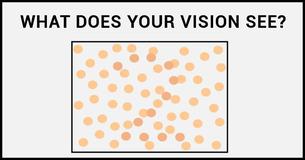 Does Your Vision Have The Potential To Differentiate Between Colors?
