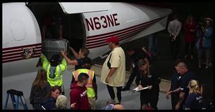 Volunteers Chartered A Plane So They Could Rescue 100s Of Dogs Stranded After A Hurricane