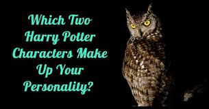 Which Two Harry Potter Characters Make Up Your Personality?