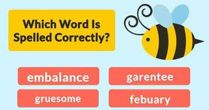 Which Word Is Spelled Correctly?