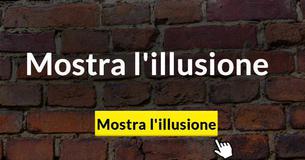 Questa illusione ottica del muro di mattoni sta facendo impazzire Internet