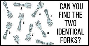 Can You Find The Two Identical Forks?