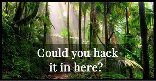 Could You Hack It In The Jungle Alone?