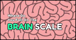 This Visual-Based Quiz Will Determine Where You Fall On The Brain Scale