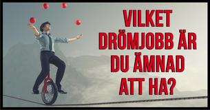 Vilket drömjobb är du ämnad att ha?