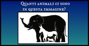  Nessuno può dire esattamente quanti animali ci sono in questa immagine. Quanti riesci a trovarne? 
