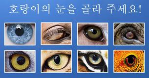 어떤 동물의 눈인지 맞혀 보세요 