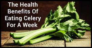 Transform Your Body By Eating Celery For A Week