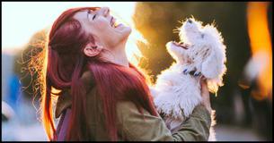 Which Dog Breed Best Suits Your Personality?