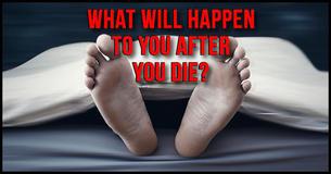 What Will Happen To You After You Die?