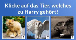 Wie gut kennst Du die Harry Potter Filme wirklich?