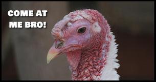 Could You Bag Your Own Turkey For Thanksgiving?