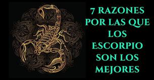 7 razones por las que los Escorpio son los mejores