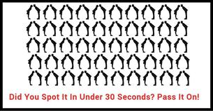 Nobody Can You Spot The Different Couples From The Others In Under 30 Seconds?