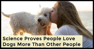 New Study Proves That People Love Dogs More Than Other People
