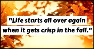 Can We Guess Your Favorite Thing About Fall?