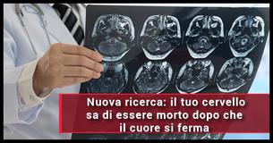 Questo studio terrificante rivela che i nostri cervelli sono auto-consapevoli dopo che moriamo 