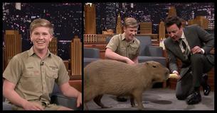 Robert Irwin Is Exactly Like His Dad Steve Irwin