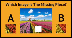 Only Highly Artistic People Can Pass This Color Test