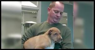 Couple Finds Puppy With No Ears Crying On Doorstep And There’s A $5K Reward To Find The Monster
