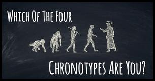Which Of The Four Chronotypes Are You?