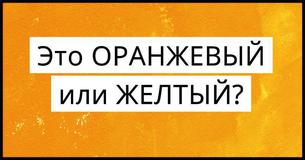 Этот цветовой тест определит, какой у вас тип интеллекта