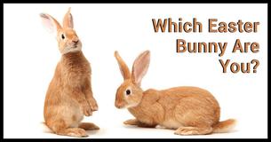 Which Easter Bunny Are You?