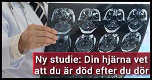 Skrämmande studie avslöjar att våra hjärnor är självmedvetna efter vi dör
