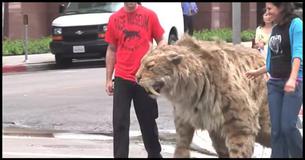 What Would You Do If You Saw A Sabertooth Tiger Just Casually Walking Round The Block?
