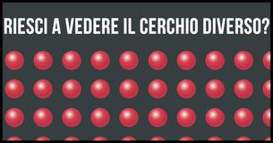 Solo i geni potenziali riescono a vedere la forma diversa in questo test sulla vista 