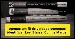 Somente um verdadeiro Potterhead saberá o nome de TODOS esses personagens