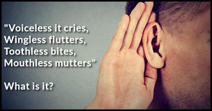 Only Logic Geniuses Can Answer These 9 Classic Riddles 
