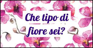 Che tipo di fiore sei?