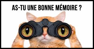 Test : À quel point fais-tu attention aux détails ?