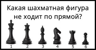 Если ты пройдешь этот тест, значит у тебя выдающаяся эрудиция 