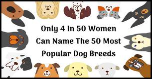 Only 4 In 50 Women Can Name The 50 Most Popular Dog Breeds