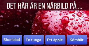 Bara en av femtio personer känner igen dessa närbilder