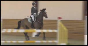 Horse Knocks Off Rider But Wait Till You See What It Does Next