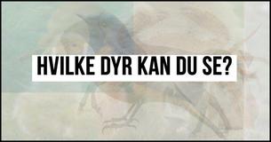 Det første dyret du ser på dette bildet kan avsløre hva slags person du er