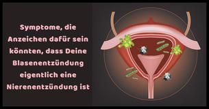 7 Symptome, die Anzeichen dafür sein könnten, dass Deine Blasenentzündung eigentlich eine Nierenentzündung ist