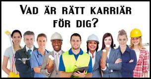 Vilken karriär är du ämnad för?