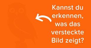 Nur Introvertierte können diese versteckten Bilder sehen, denn sie haben eine einzigartige Beobachtungsgabe