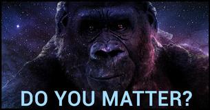 Do YOU Matter To The Universe? Take This Quiz To Find Out 
