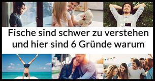 Fische sind schwer zu verstehen und hier sind 6 Gründe warum 