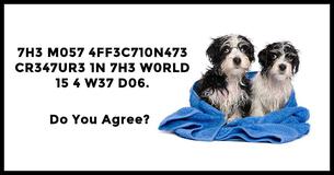 Your IQ Is 153+ If You Pass This Encrypted Animal Vocabulary Test