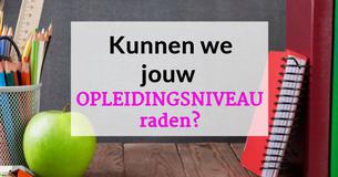 Kunnen we je niveau van opleiding raden?