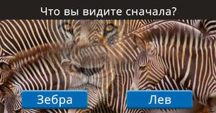 Насколько вы креативны? Этот тест с оптической иллюзией расскажет вам 