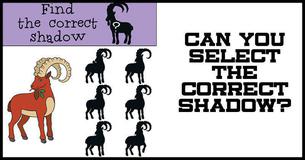 Tough Shadow Brainteaser #10: Can You Find The Correct Shadow?